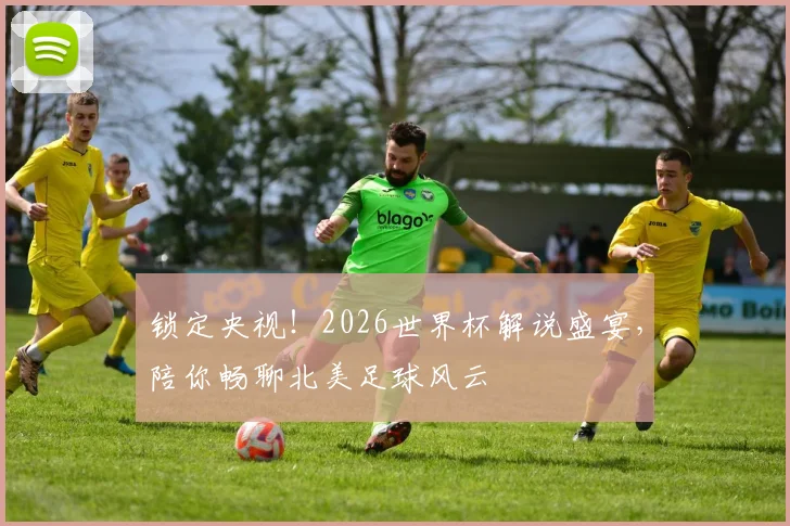 锁定央视！2026世界杯解说盛宴，陪你畅聊北美足球风云