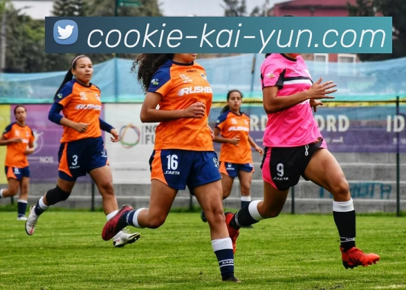 开云平台生态图